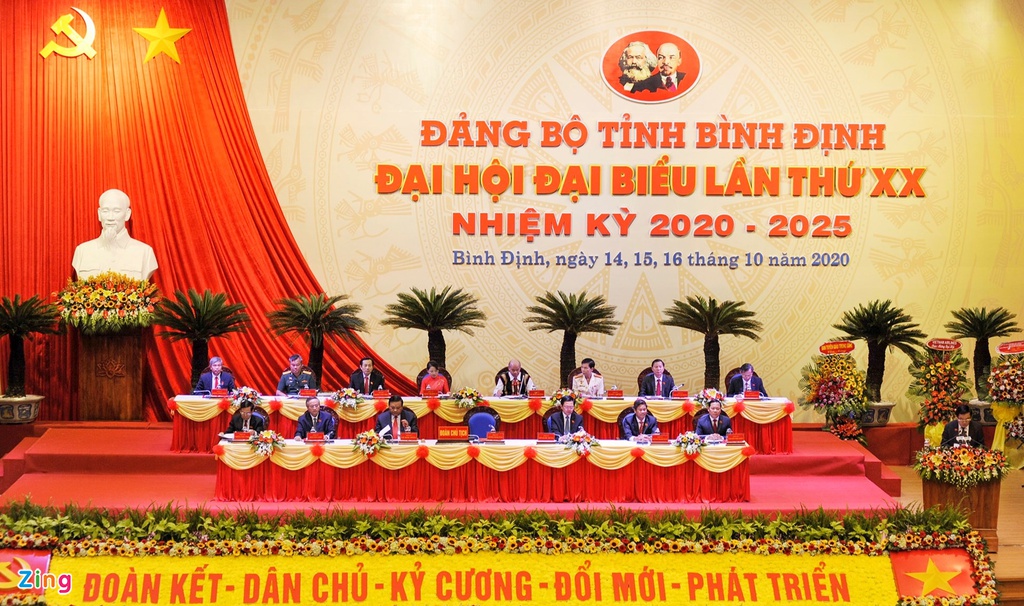 Dai hoi Dang bo Binh Dinh anh 4