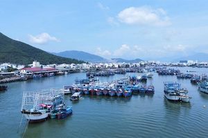 5 năm nỗ lực gỡ 'thẻ vàng' của Ủy ban châu Âu