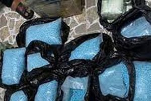 Bắt nhiều đối tượng, thu giữ hơn 300kg ma túy các loại