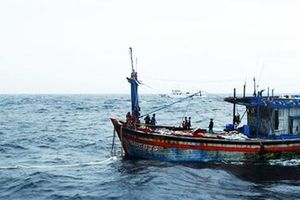 Bình Định: Nhiều tàu cá không về địa phương khai báo