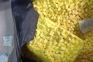 Công an TP.HCM triệt phá nhiều đường dây, thu giữ 300kg ma túy