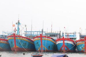 Ngư dân vượt khó vươn khơi – Bài 1: Gian nan nghề đi biển