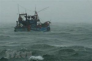 Thưởng hơn 106 triệu đồng cho ngư dân phát hiện, lai dắt tàu vỏ sắt trôi dạt trên biển