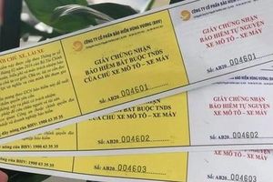 Tin 9/11: Đề xuất bỏ bảo hiểm bắt buộc đối với xe máy; đàn ong mật khổng lồ hàng ngàn con bất ngờ tấn công nhóm người chơi thể thao