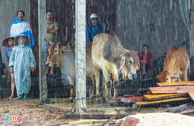 Ung pho mua bao mien Trung anh 2