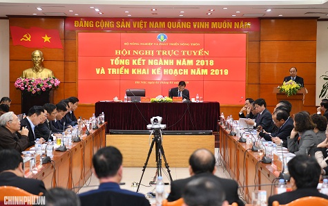 hinh-anh-1