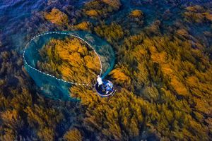 Cảnh sắc miền Trung đẹp yên bình qua đề cử 'Top 7 Ấn tượng Việt Nam'