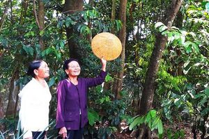 Những người giữ rừng đặc biệt