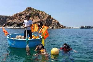 Phục hồi hệ sinh thái rạn san hô, phát triển du lịch biển