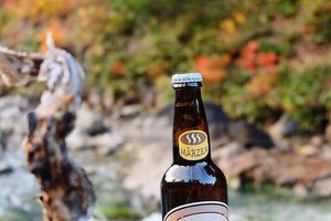 Uống bia, ăn cá nướng giữa rừng thu lá đỏ Nhật Bản