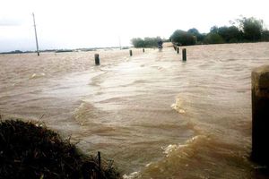 Lũ khẩn cấp trên sông Bồ và sông Vu Gia