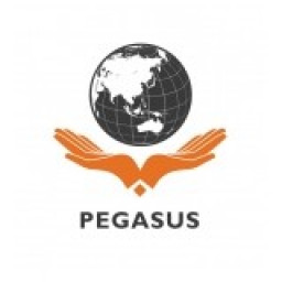 Công ty cổ phần tư vấn và đầu tư Pegasus