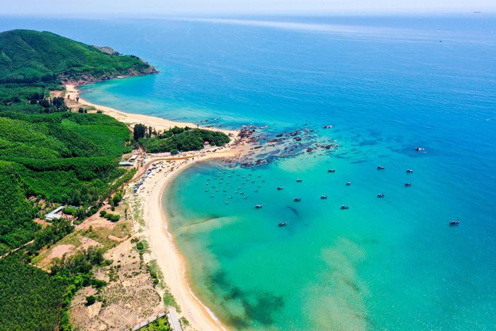 Phong cảnh hữu tình trên tuyến đường ven biển ở Bình Định 10