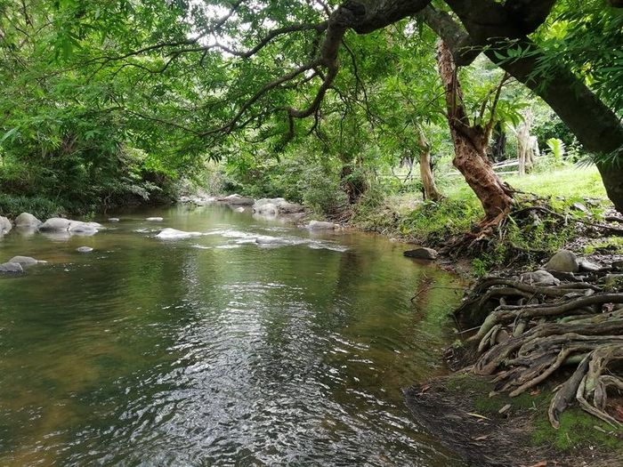 0c8f2f77c6352f6b7624 Vĩnh Thạnh - Điểm đến mới của du lịch Bình Định 3