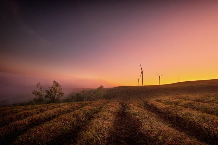 Ấn tượng cảnh sắc bình minh đẹp mơ màng trên khắp Việt Nam 42