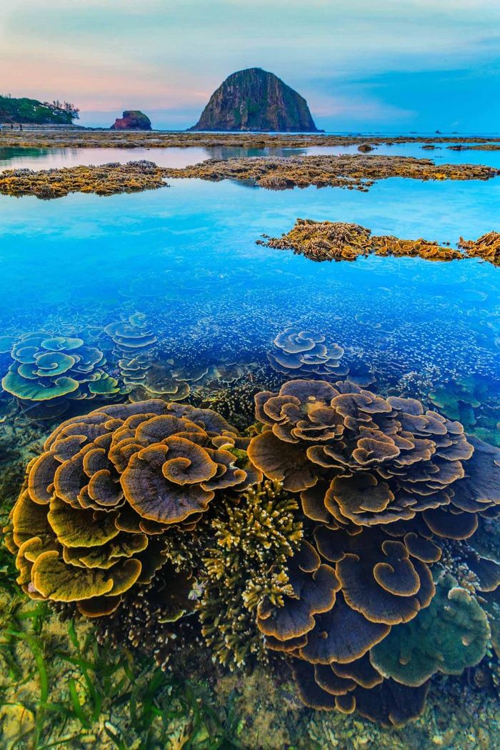 0f1cf2612b23c27d9b32 Phú Yên chuẩn bị hồ sơ nộp UNESCO để được công nhận Công viên địa chất toàn cầu 9