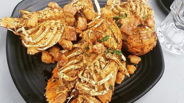 113d70d3a2914bcf1280 Loài hải sản hiếm ở Việt Nam có tên rất lạ, giá 2 triệu đồng/kg 16