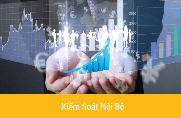 1202-1 Dịch vụ kiểm soát nội bộ