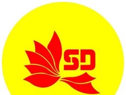 TẬP ĐOÀN SENDAI- CÔNG TY CỔ PHẦN TNG POWER