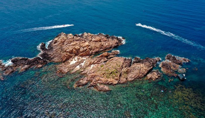 Mùa rong mơ ở cù lao Hòn Khô 28