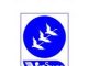 Cty TNHH MTV Giống Gia Cầm Vietswan
