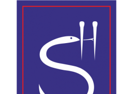 CÔNG TY CỔ PHẦN DƯỢC – THIẾT BỊ Y TẾ SÔNG HÀN