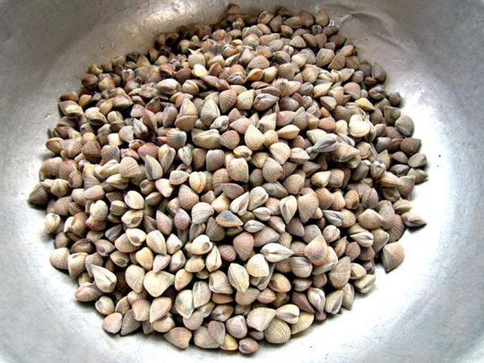 Mắm sút - ăn cả đại dương thu nhỏ 1