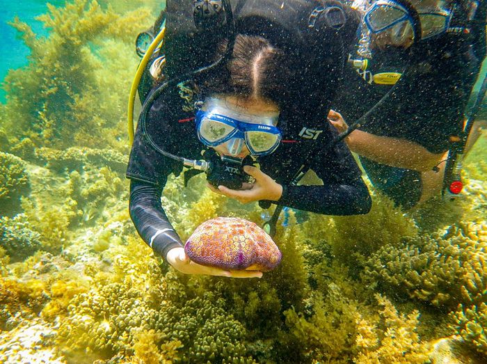 Mùa rong mơ ở cù lao Hòn Khô 26