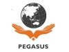Công ty cổ phần tư vấn và đầu tư pegasus chi nhánh hà nội