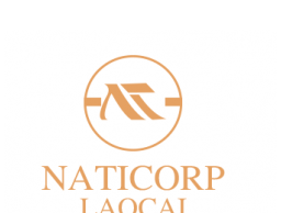 Công ty Cổ phần Nam Tiến Lào Cai