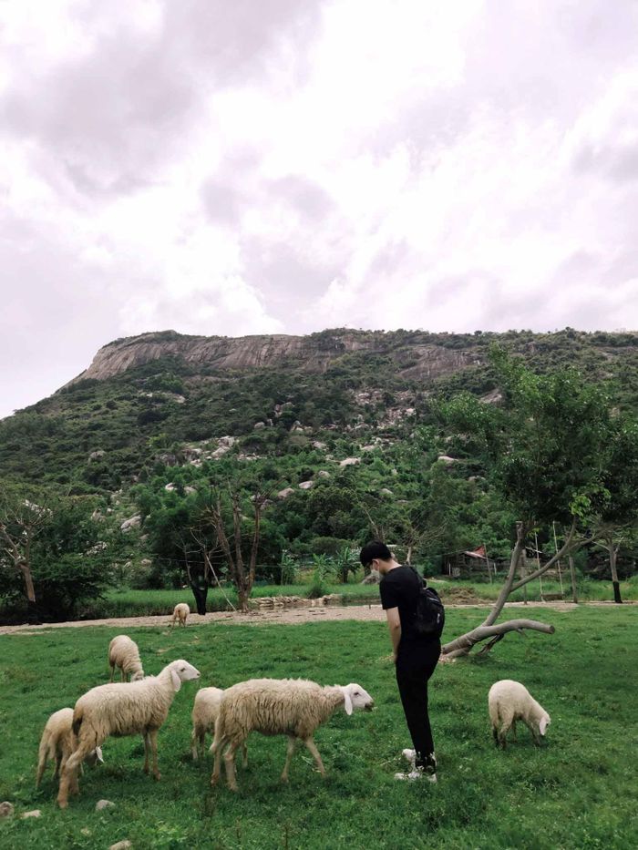 19ae00d2f19018ce4181 Đôi bạn trẻ chi 53 triệu đồng, phượt xe máy xuyên Việt trong 41 ngày 30