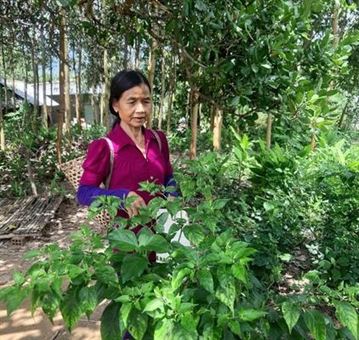 1f0478a848e5a1bbf8f4 Đồng bào Bana làng Gia Trung thực hiện lối sống xanh 12