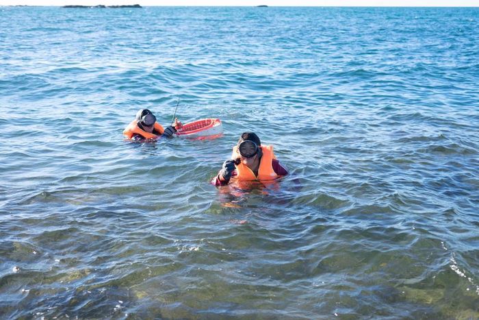 Săn nhum ở gành biển 19