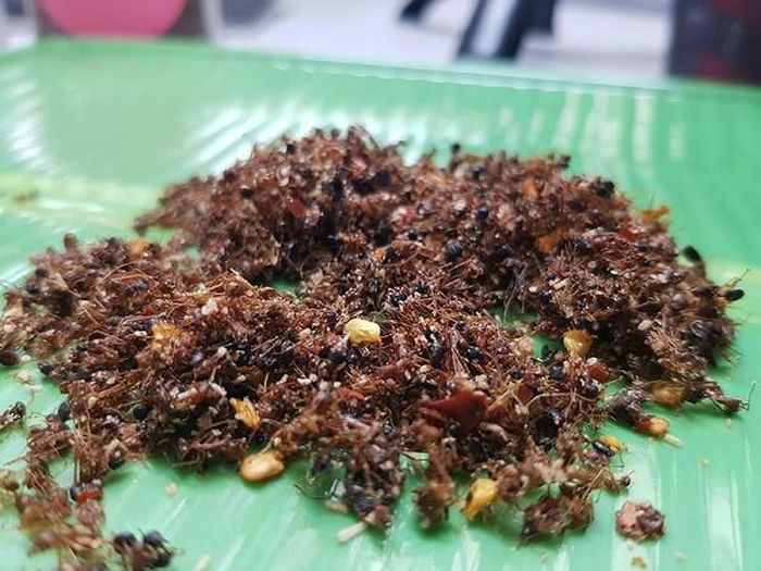 20699d777035996bc024 Cực độc loại muối làm từ động vật: Việt Nam có nhiều! 12