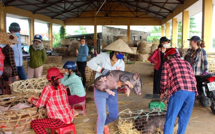 20b79e541c16f548ac07 Về Quảng Nam xem chợ 'phụ nữ bồng heo' 21