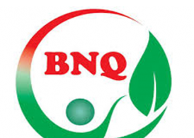 Công Ty Cổ Phần BNQ