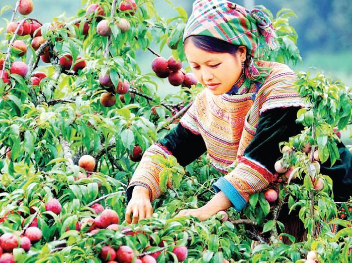 Rong ruổi trên những cung đường tháng Tư 5