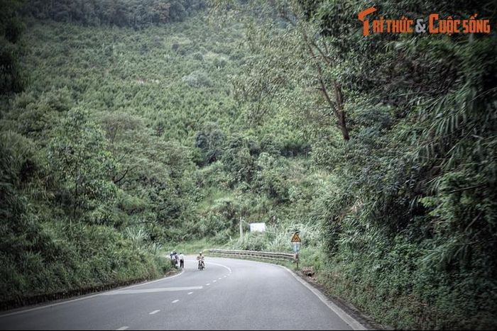 Giải mã chuyện liêu trai bí ẩn trên đèo Bảo Lộc 2