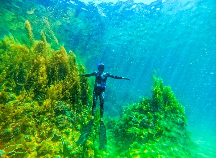 Mùa rong mơ ở cù lao Hòn Khô 24