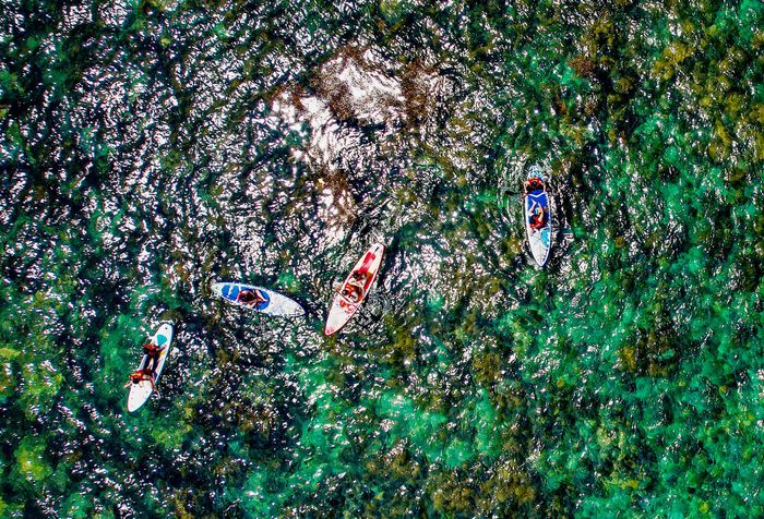 Mùa rong mơ ở cù lao Hòn Khô 8