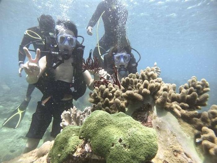 Để tour lặn ngắm san hô trở thành sản phẩm độc đáo (Bài cuối): Cần định hướng lâu dài 0