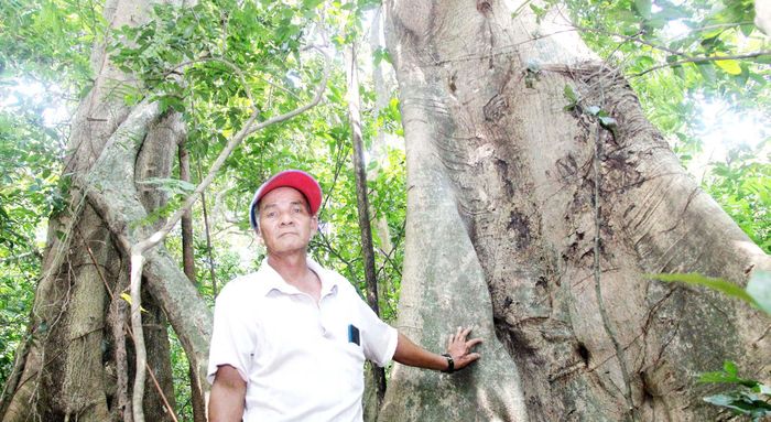 Dân biển giữ rừng 0