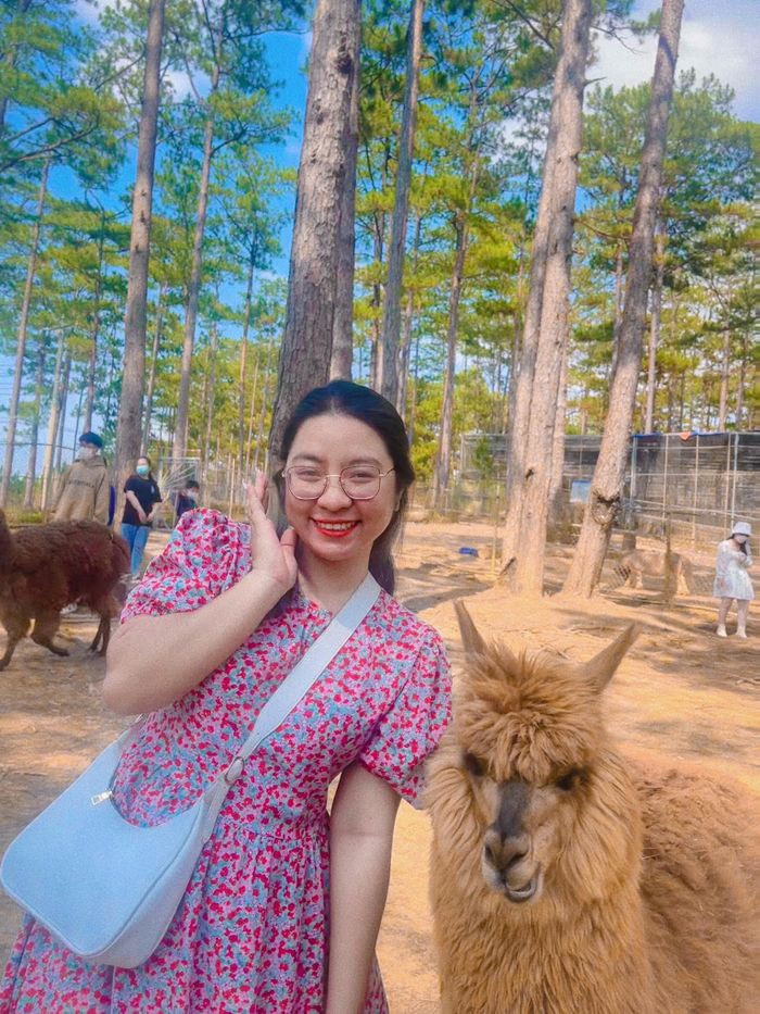 2ceef33e747c9d22c46d Đi ăn lệch giờ, tìm nơi vắng vẻ khi du lịch mùa lễ 15