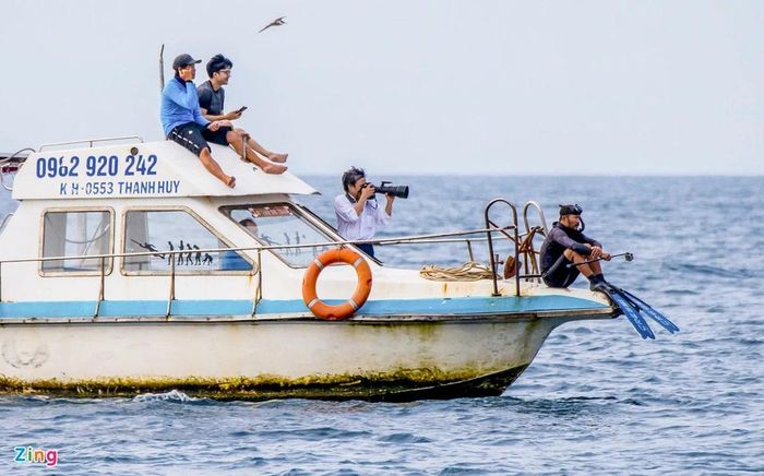 Mẹ con cá voi săn mồi ở vùng biển Đề Gi 14