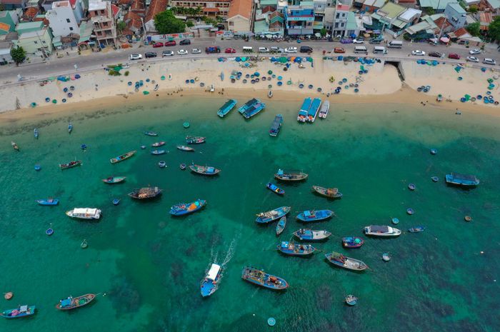 Mùa rong mơ ở cù lao Hòn Khô 12