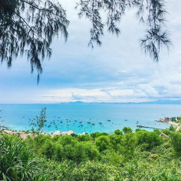 Cù lao hoang sơ sở hữu các góc sống ảo cực chất chỉ cách Quy Nhơn 14 cây số 1