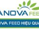 Công Ty CP Anova Feed