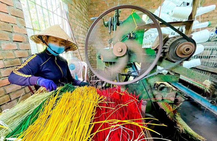 Mùa thu hoạch chiếu cói ở Bình Định 20