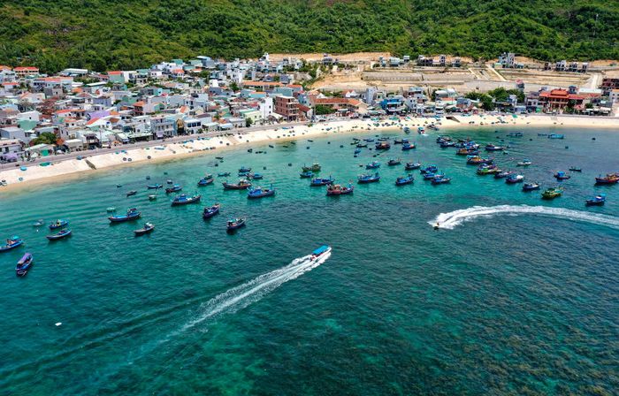 Du lịch Bình Định chưa đa dạng, cần phát huy thế mạnh biển đảo 8