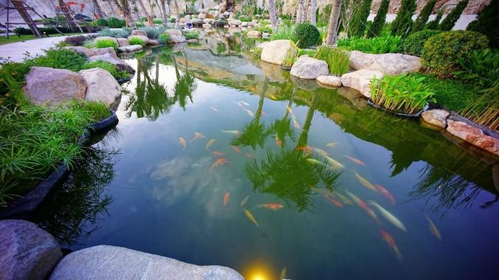 3c4ed7f03cb2d5ec8ca3 Sắc màu trải nghiệm chưa từng có tại thành phố biển Quy Nhơn 8